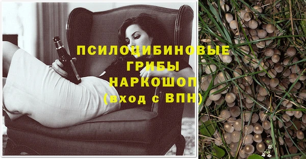 прущие крисы Пролетарск