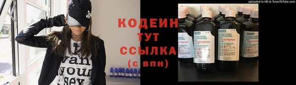 гидра Елизово