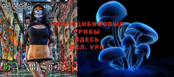 МДМА Приозерск