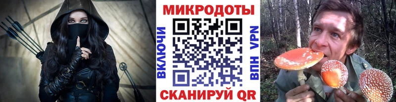 Псилоцибиновые грибы мицелий  Купить закладки  Курчалой 